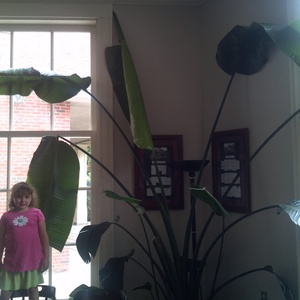 IMG_20120728_135525.jpg