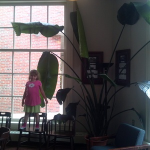 IMG_20120728_135551.jpg