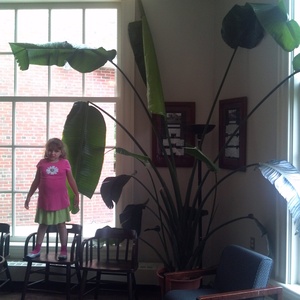IMG_20120728_135605.jpg