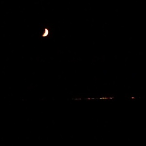 IMG_20120822_212737.jpg