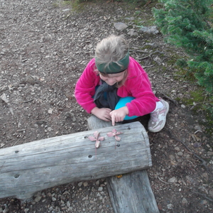 DSCF0217.JPG