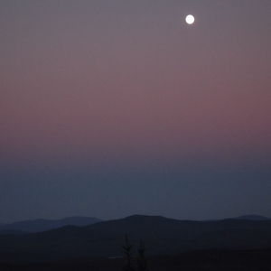 DSCF0231.JPG