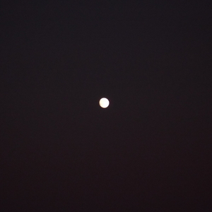 DSCF0236.JPG