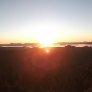 DSCF0239.JPG