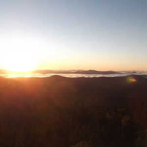 DSCF0240.JPG