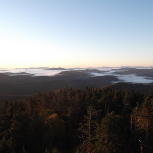 DSCF0241.JPG