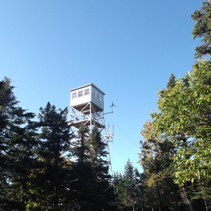 DSCF0252.JPG