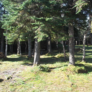 DSCF0284.JPG