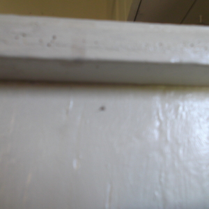 DSCF0293.JPG