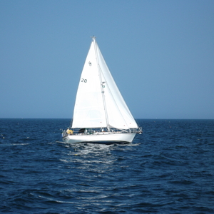DSCF0027.JPG