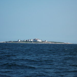 DSCF0035.JPG