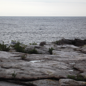 DSCF0061.JPG