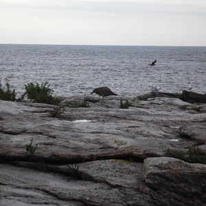 DSCF0062.JPG