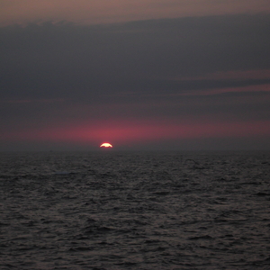 DSCF0114.JPG