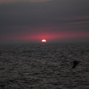 DSCF0117.JPG
