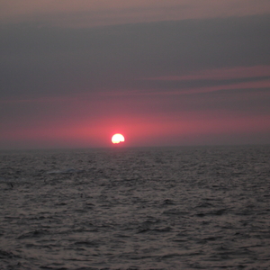 DSCF0124.JPG