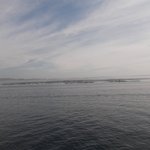 DSCF0170.JPG