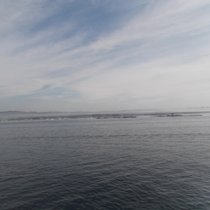 DSCF0171.JPG