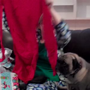 VID00008.MP4