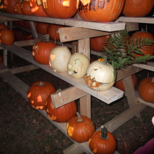 DSCF0326.JPG