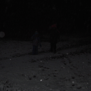 DSCF0340.JPG