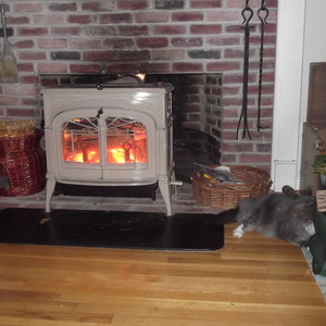 DSCF0348.JPG