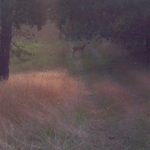 IMG_20120706_191555.jpg