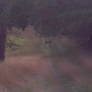 IMG_20120706_191628.jpg