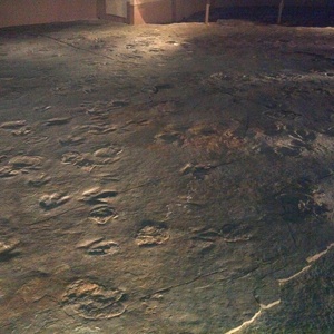 IMG_20120708_124711.jpg