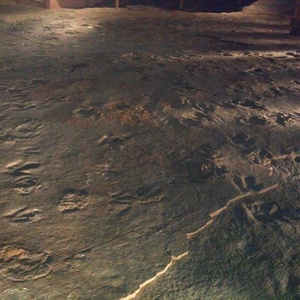 IMG_20120708_124718.jpg