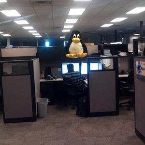 IMG_20120709_090830.jpg
