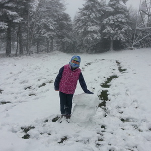 Magalloway_Snowman_2012-10-08.jpg