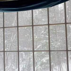 2011-01-12_12-30-03_528.jpg