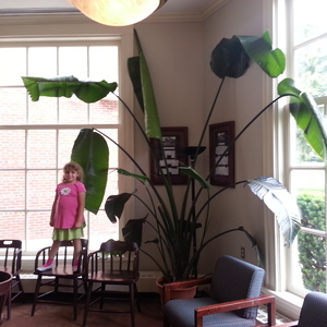 20120728_135613.jpg