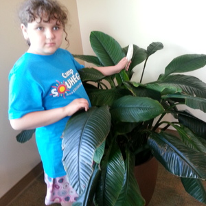 20140624_193847.jpg
