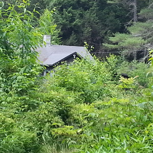 20140702_121331.jpg
