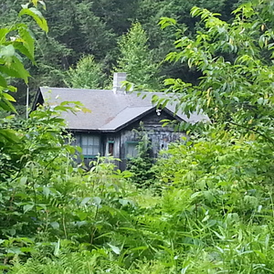 20140702_121342.jpg