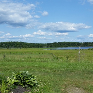 20140718_153555.jpg