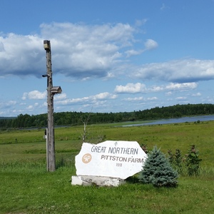 20140718_153706.jpg