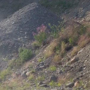 20140718_171249.jpg