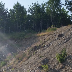 20140718_171258.jpg