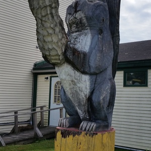 20140720_112410.jpg