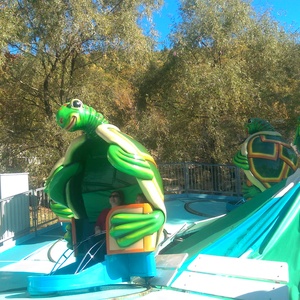 IMAG0228.jpg