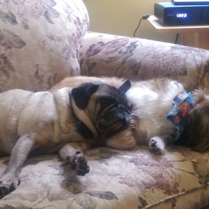 IMAG0259.jpg