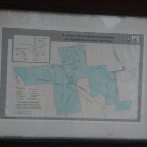IMAG0261.jpg