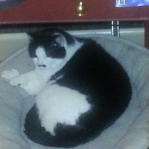 20140402_011341.jpg