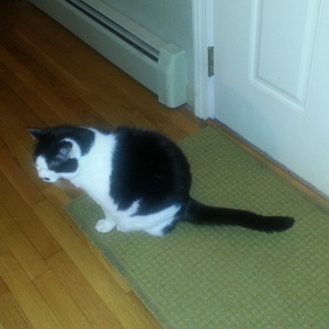 20140402_011355.jpg
