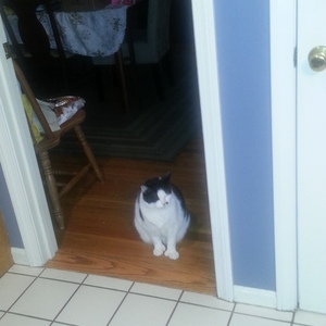 20140402_011432.jpg