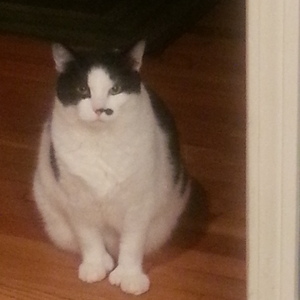 20140402_011446.jpg