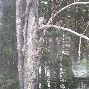 20140326_153805.jpg